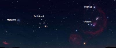 Under the Stars of Matariki ma Puanga