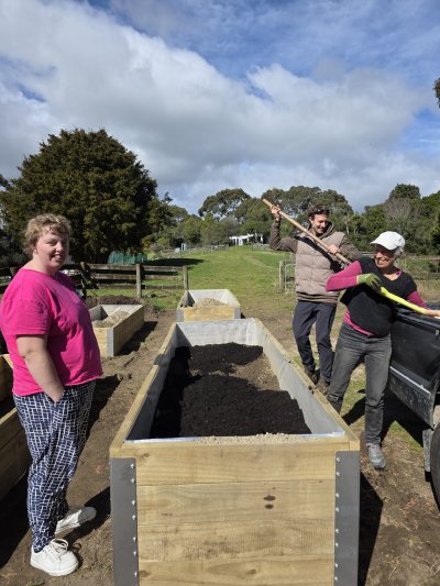volunteers and residents at Hōhepa Wellington working in the gardens